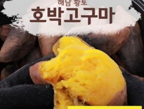 만족도 1위 23년 해남 햇 꿀고구마 4kg2박스  총8kg 베스트상품