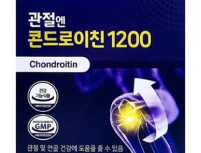 인스타에서 난리난 관절엔 콘드로이친1200 1개월분 베스트5