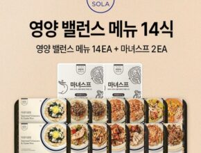 놓치면 후회할 밸런스 식사 14식  마녀스프 2팩 추천상품