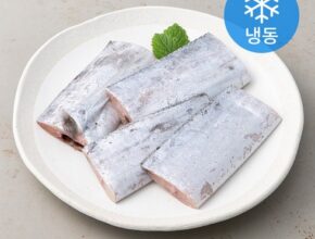 전문가 추천 제주은갈치16토막삼치살250g4팩( 총1kg 추천상품