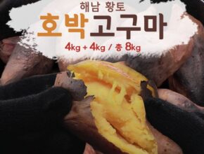 놓치면 후회할 해남 햇 꿀고구마 4kg4kg 베스트5