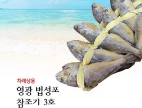 전문가 추천 전통 부세 보리굴비 베스트상품