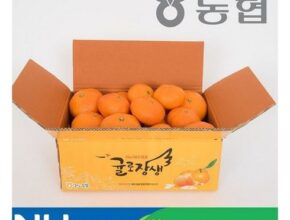 만족도 1위 제주 레드향 3.5kg 추천상품