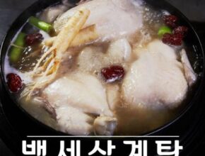 초특가  특산 백세 삼계탕 10팩  총 10kg 베스트5