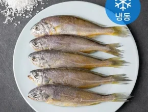 놓치면 후회할 해담 제주 수산물 3종 총 15팩 X13팩참굴비 500gX1팩(10마리 베스트5