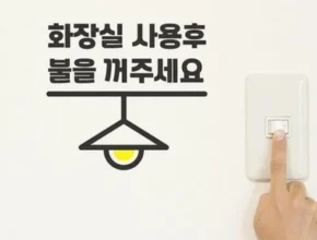 놓치면 후회할 저도태워주세요 베스트5